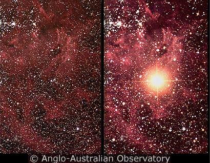 Supernova 1987a