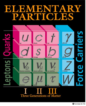 particle content of standard model